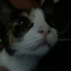 Los dones hijueputas temas