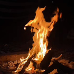 اي بينت ما عندك وفه مسرع ✈️😜