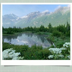 Heidi Blair Anchorage Alaska Shares the Top Five Reasons to Visit, Alaska