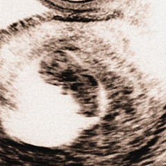 BEGINNING OF LIFE