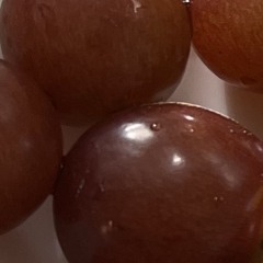 Frbdn Fruuts