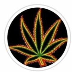 Raggateeek