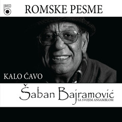 Bici koj