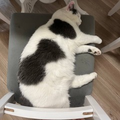 я им не верю