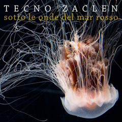 Sotto le onde del mar rosso