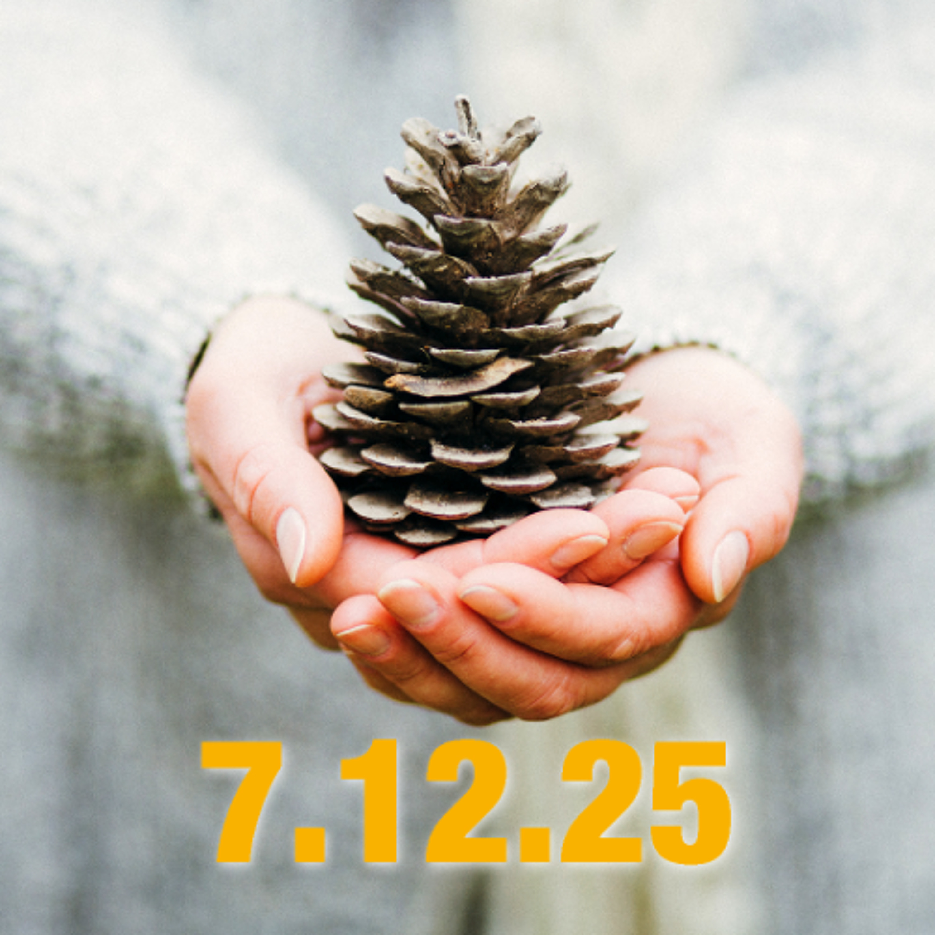 Fasst neue Hoffnung! – Adventsimpuls zum 7. Dezember 2025