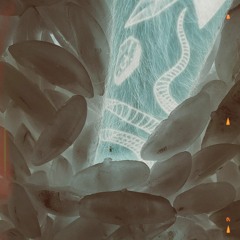 COLD BLOODED ( Prod. Nejdos )