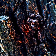 OAK