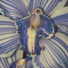 noyer 8 - SERVICE (peachairee's DRUGS remix)