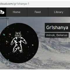 Gr1shanya - Show(CuriousBeats And New5ense Voc.)