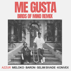 PREMIERE: Meloko, Baron, Selim Sivade, Konvex - Me Gusta (Birds Of Mind Remix) [AZZUR]