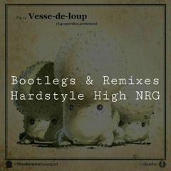 [RMX/VA] Uplifting Raw Hardstyle Bootlegs | Q6 (442)