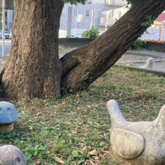 新規録音 463