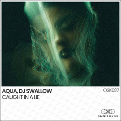 AQUA, DJ Swallow - Caught In A Lie