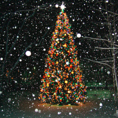 Alone on Christmas Eve