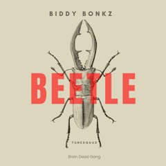 Beetle