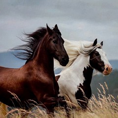 Live at Gilberte Perrier’s - Loud, Loud, Loud