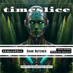 2024-06-13 - Dank Butcher @ Timeslice - Total Motion (Promo)