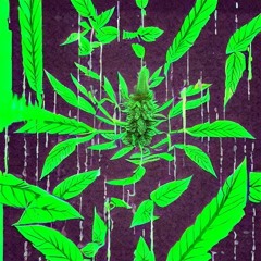 THE LEMONS MADE ME DO IT - DEVILMAN - TRAUMATIK - DJ SMOKEY BLUNTS