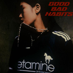Good Bad Habits