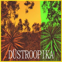 Düstroopika #3