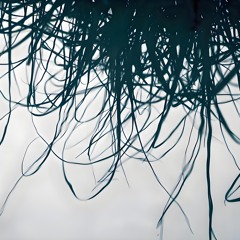 Swamp (for Morin Khoor solo, 2024)
