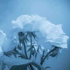 Mvt II (2). Molto sostenuto - Moderato con moto