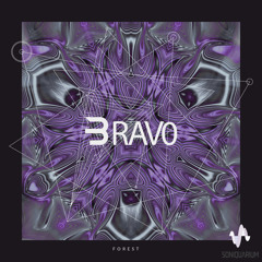 Brav0 - Forest (Original Mix)