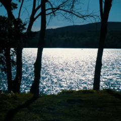 freestyle (Produced By Liv)