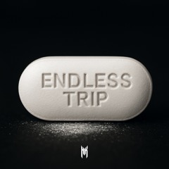 ENDLESS TRIP