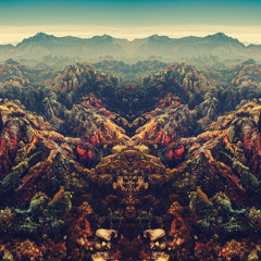 Vision Quest