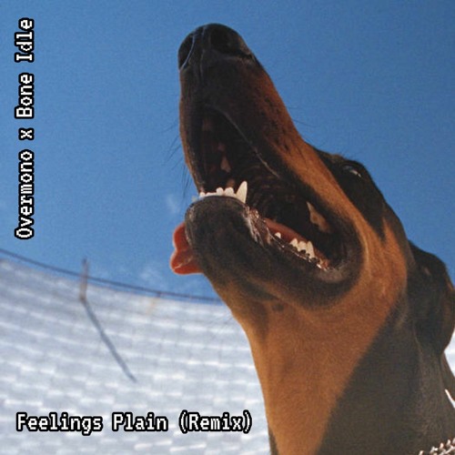 Overmono - Feelings Plain (Leftie Remix)