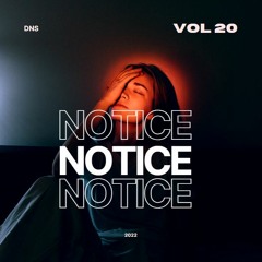DNS ft. Alice Aera - Notice (Club Mix)