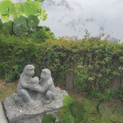 Salt n Pepper <Prod:Ayashi>