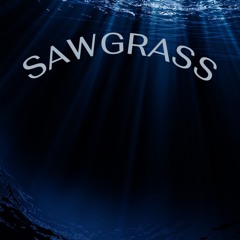 Sawgrass.mp3