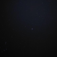 Dilema del Erizo (Demo)