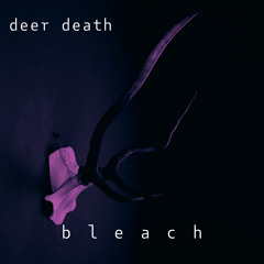 bleach (feat. richmnkey)