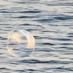 Tele Sunday - Morning Light - Waves - Disquiet0431