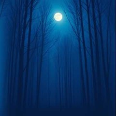 Whispers in the Night