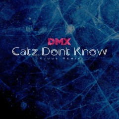 DMX - Catz Dont Know (Kjuus Remix)