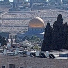 أيا فلسطينا.mp3