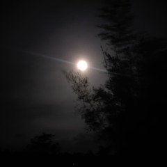 ki jole vejao tomi by ratul, kollol, afzal on 16 Sep, 7.00 pm