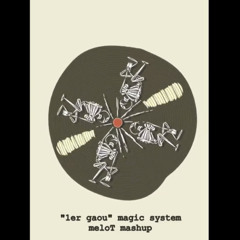 1er Gaou - Magic System ~ meloT mashup