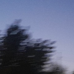 zen playlist