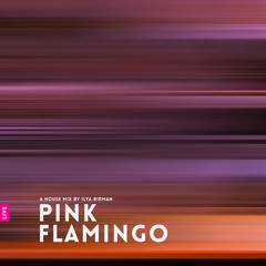 DJ Mix: Pink Flamingo (Live in Tvoya Vina, 07.08.22)