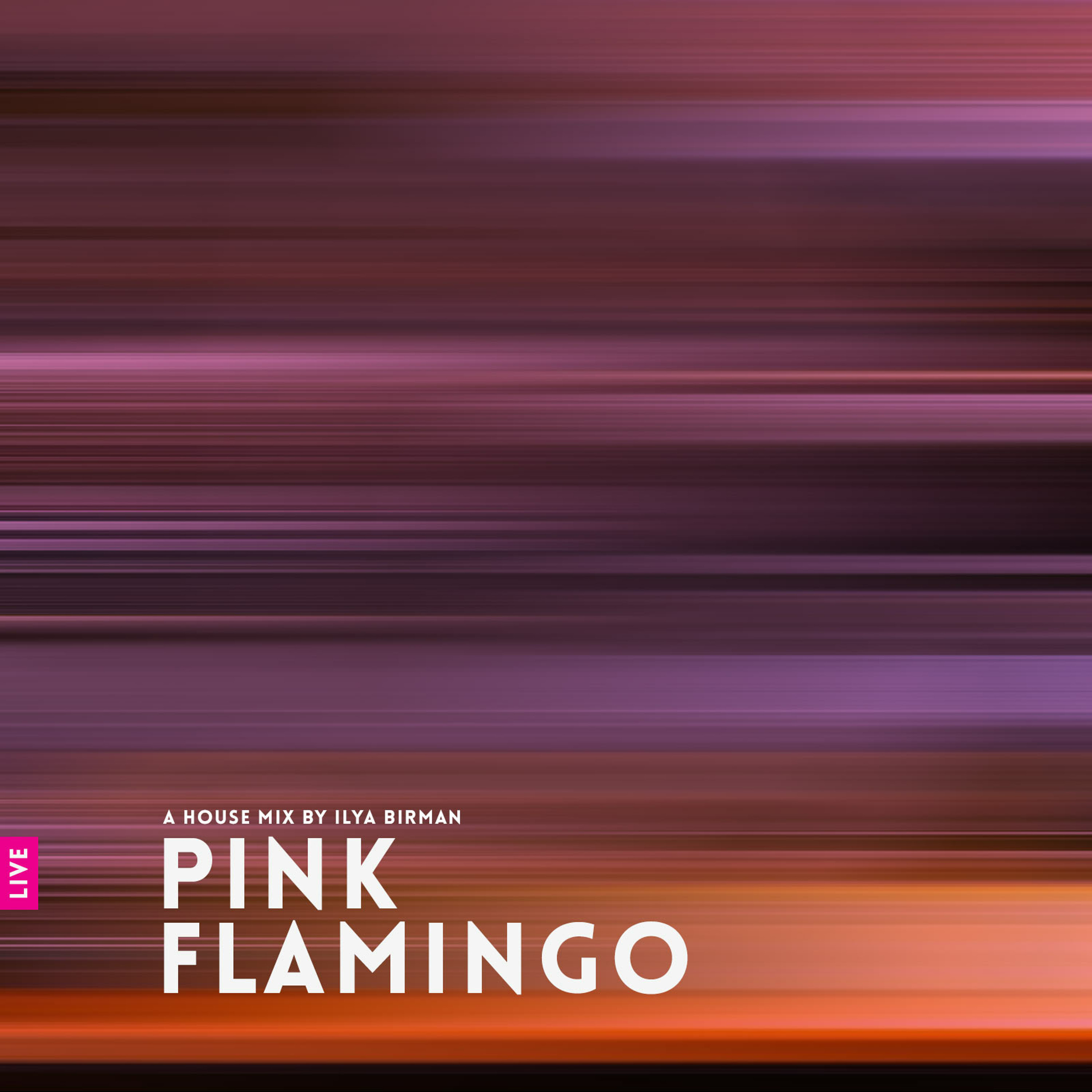 DJ Mix: Pink Flamingo (Live in Tvoya Vina, 07.08.22) episode artwork