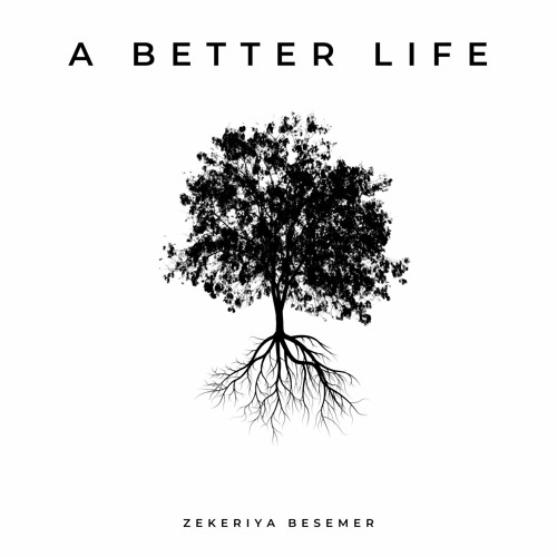 A Better Life