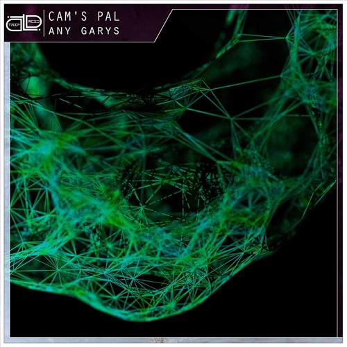Cam's Pal - Any Garys (Radio Edit) | FREE DL