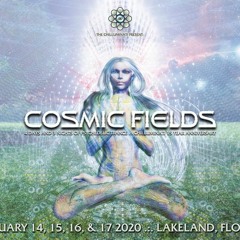 Cosmic Fields Open-Air : February 2020