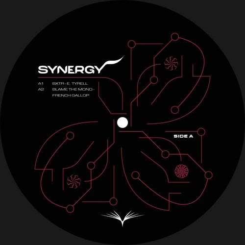 Premiere: Blame The Mono - French Gallop [SYN001]